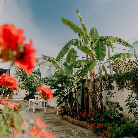 Masseria Agriturismo Il Sorriso Degli Ulivi - Dimora Di Charme Gallipoli Exteriér fotografie