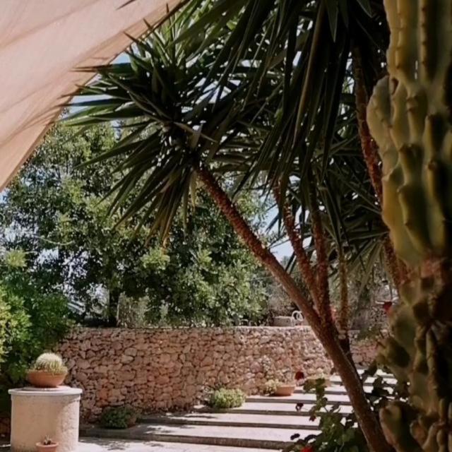 Masseria Agriturismo Il Sorriso Degli Ulivi - Dimora Di Charme Gallipoli Exteriér fotografie