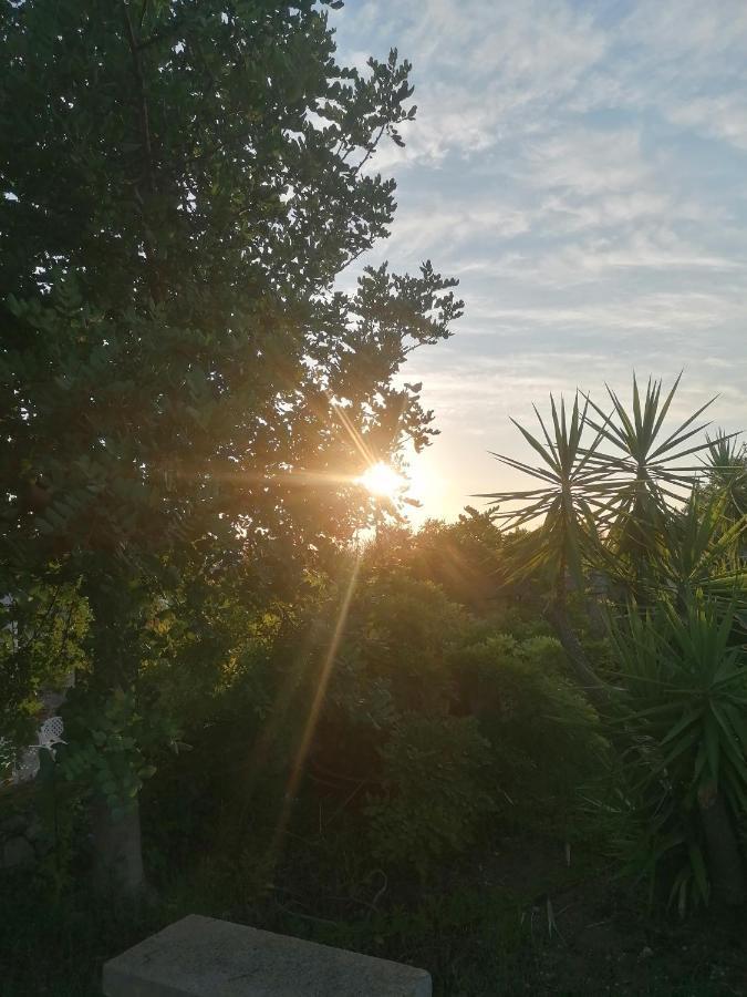 Masseria Agriturismo Il Sorriso Degli Ulivi - Dimora Di Charme Gallipoli Exteriér fotografie