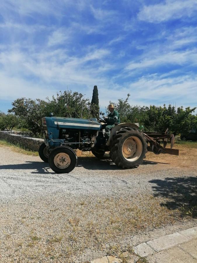 Masseria Agriturismo Il Sorriso Degli Ulivi - Dimora Di Charme Gallipoli Exteriér fotografie