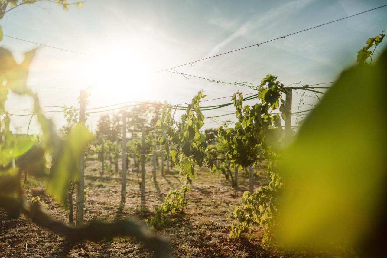 Masseria Agriturismo Il Sorriso Degli Ulivi - Dimora Di Charme Gallipoli Exteriér fotografie